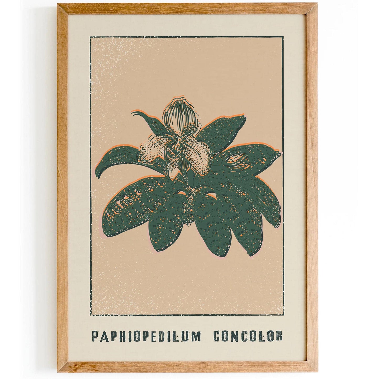 Paphiopedilum Goncolor Floral Print - HypeSheriff