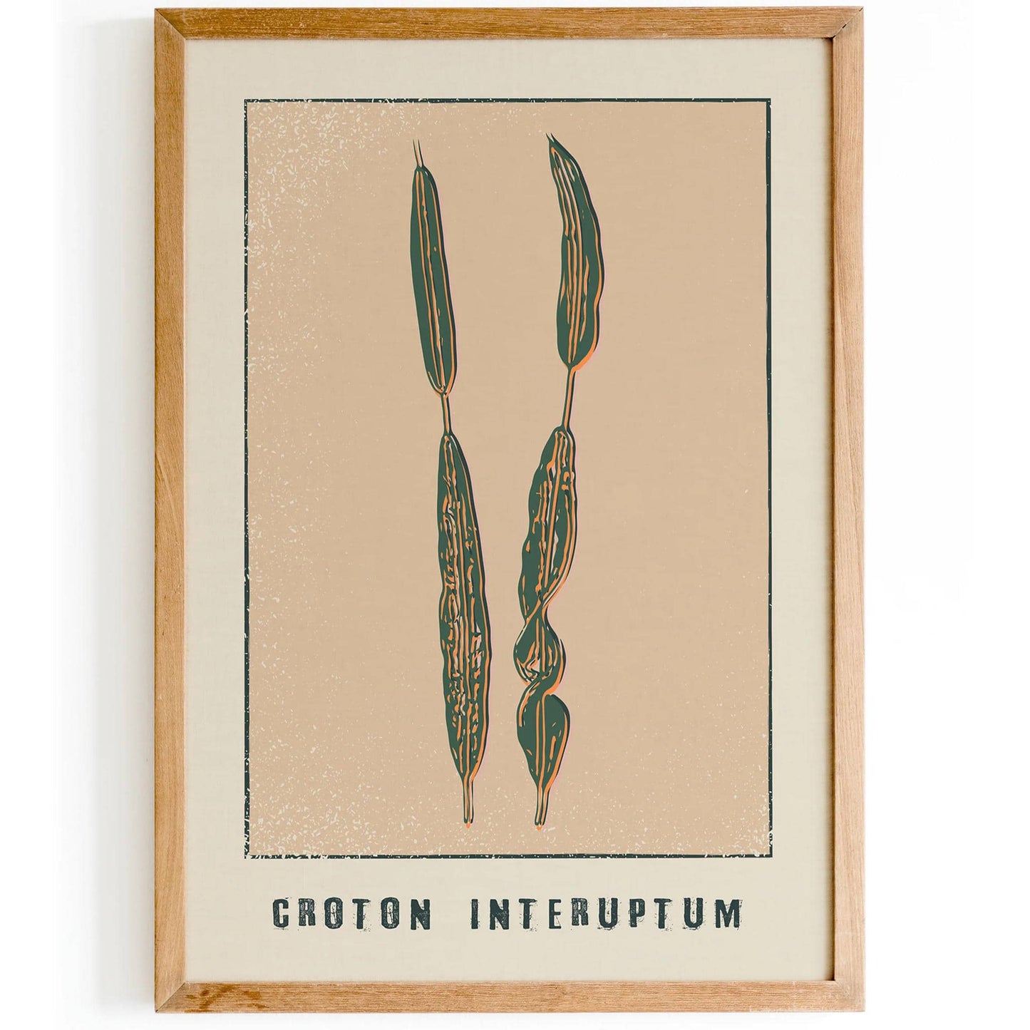 Croton Interuptum Vintage Floral Print - HypeSheriff