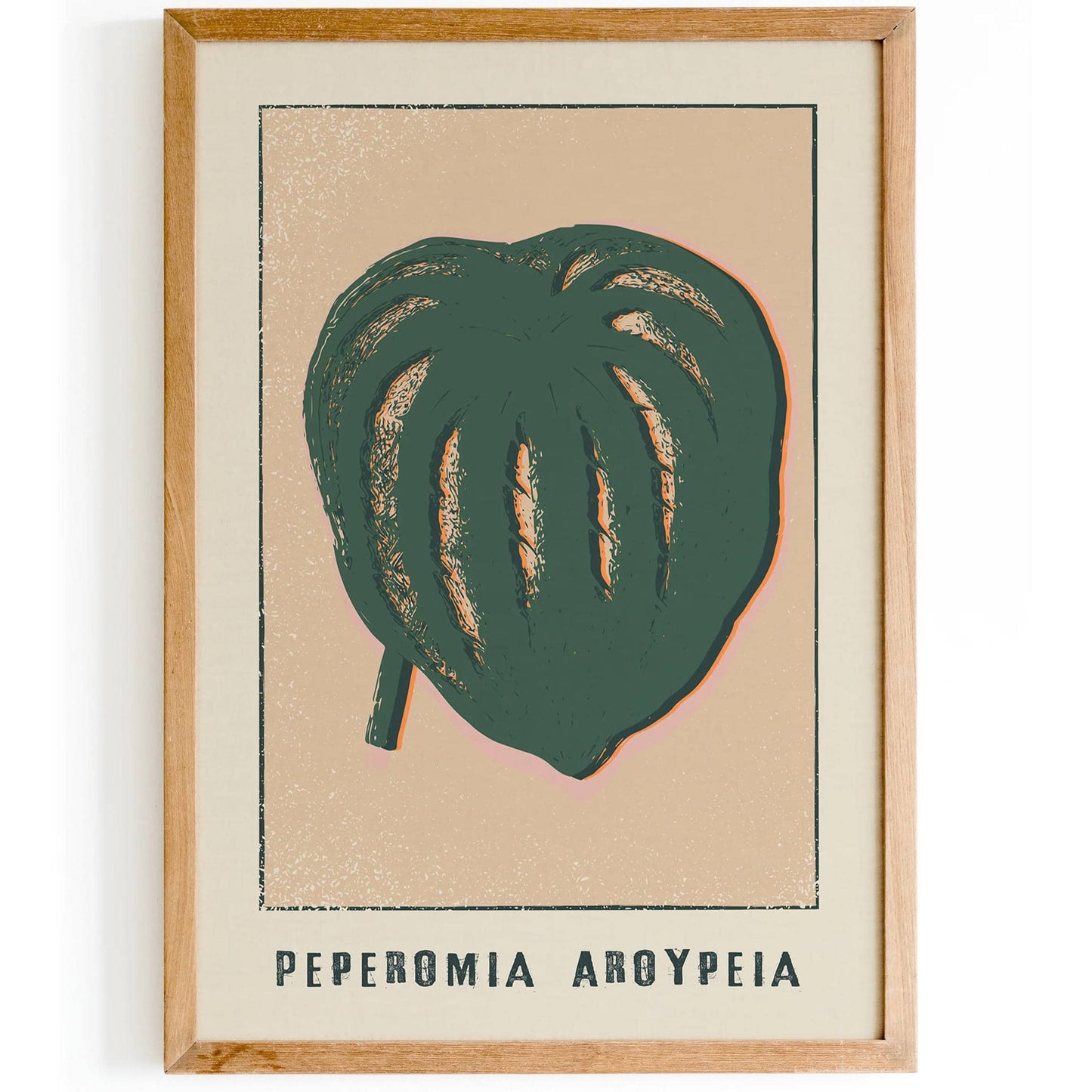Peperomia Aroypeia Botanical Print - HypeSheriff
