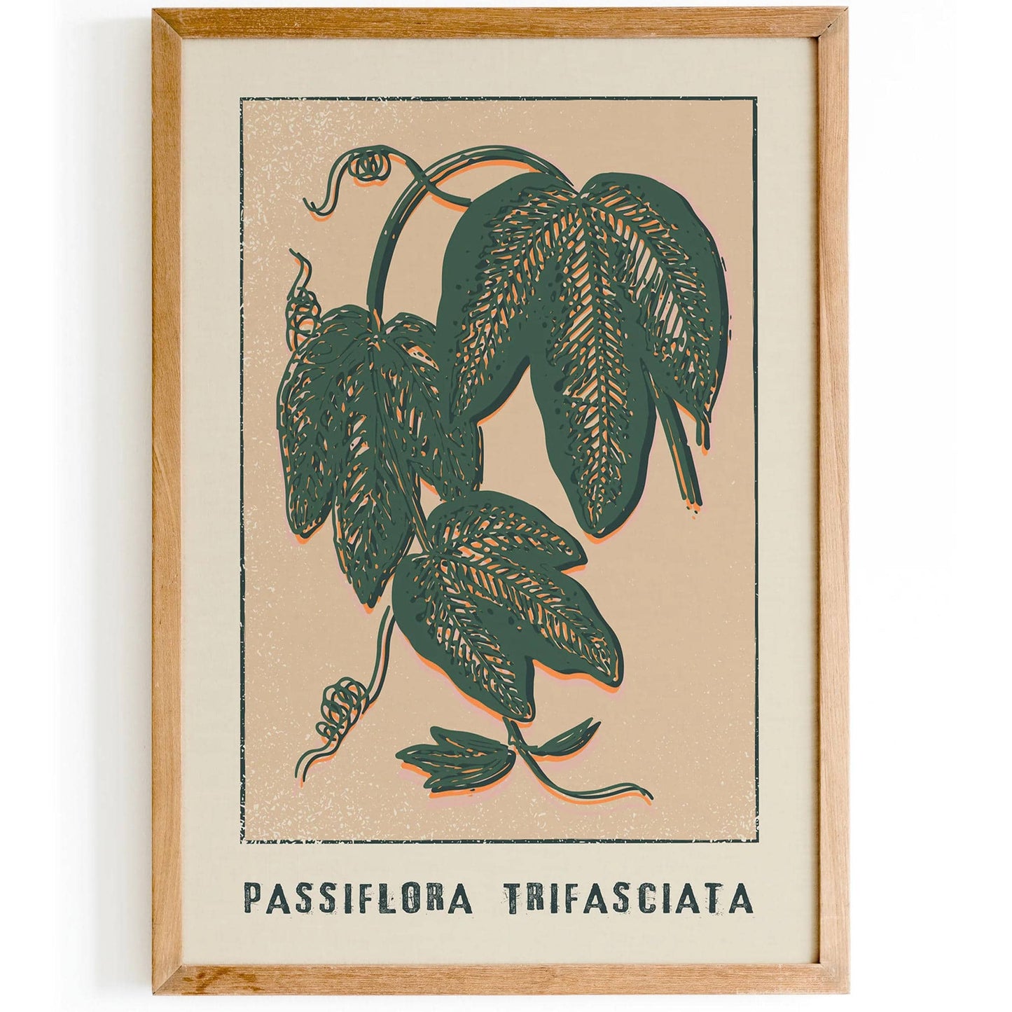 Passiflora Trifasciata Floral Print - HypeSheriff