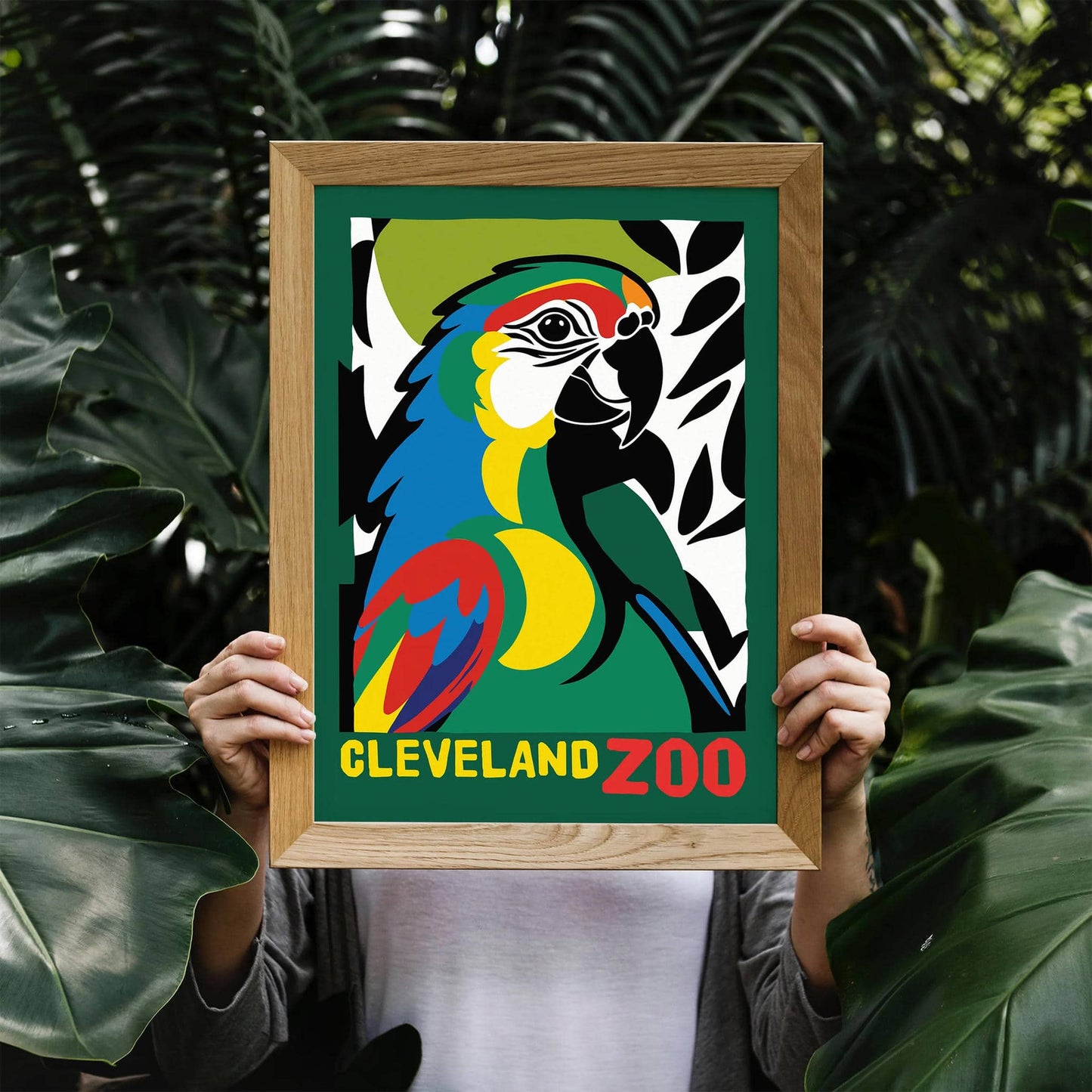 Cleveland Zoo Parrot Poster