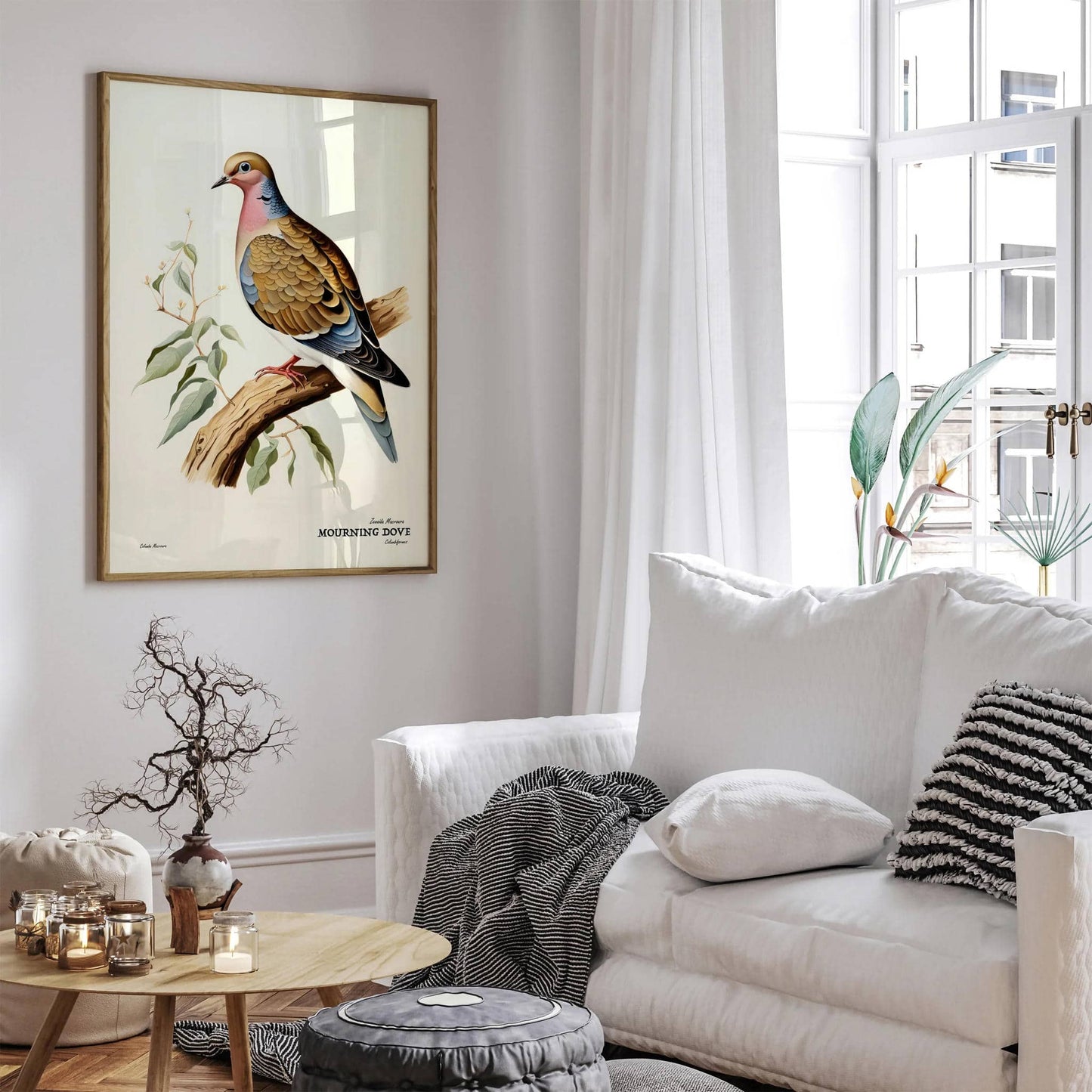 Mourning Dove Vintage Bird Poster - HypeSheriff