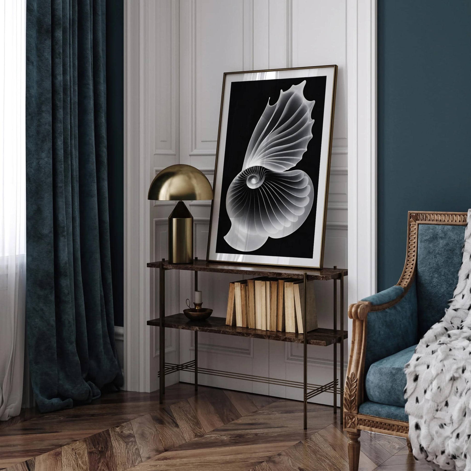 Seashells Ernst Haeckel Wall Art - HypeSheriff