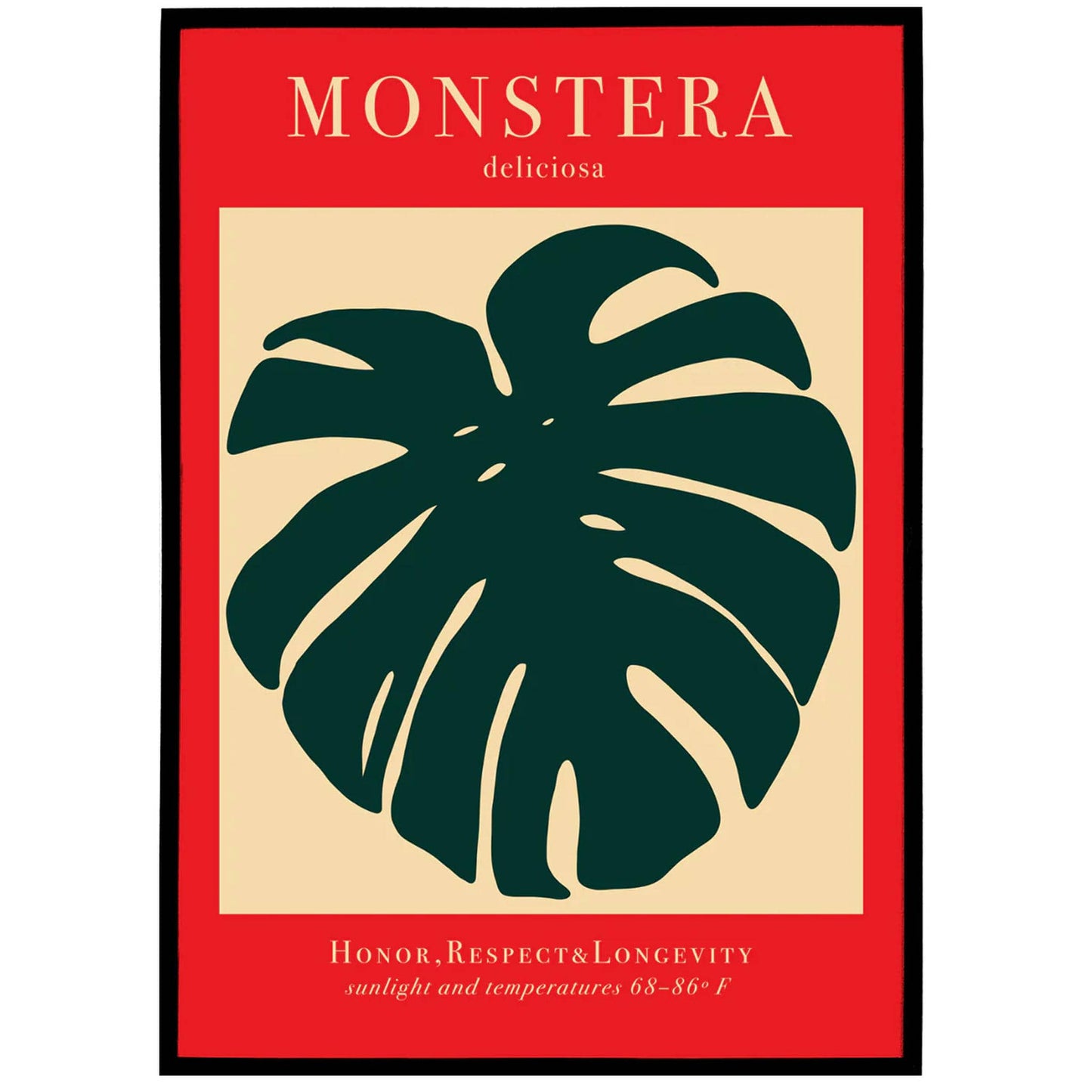 Monstera Deliciosa Print - HypeSheriff