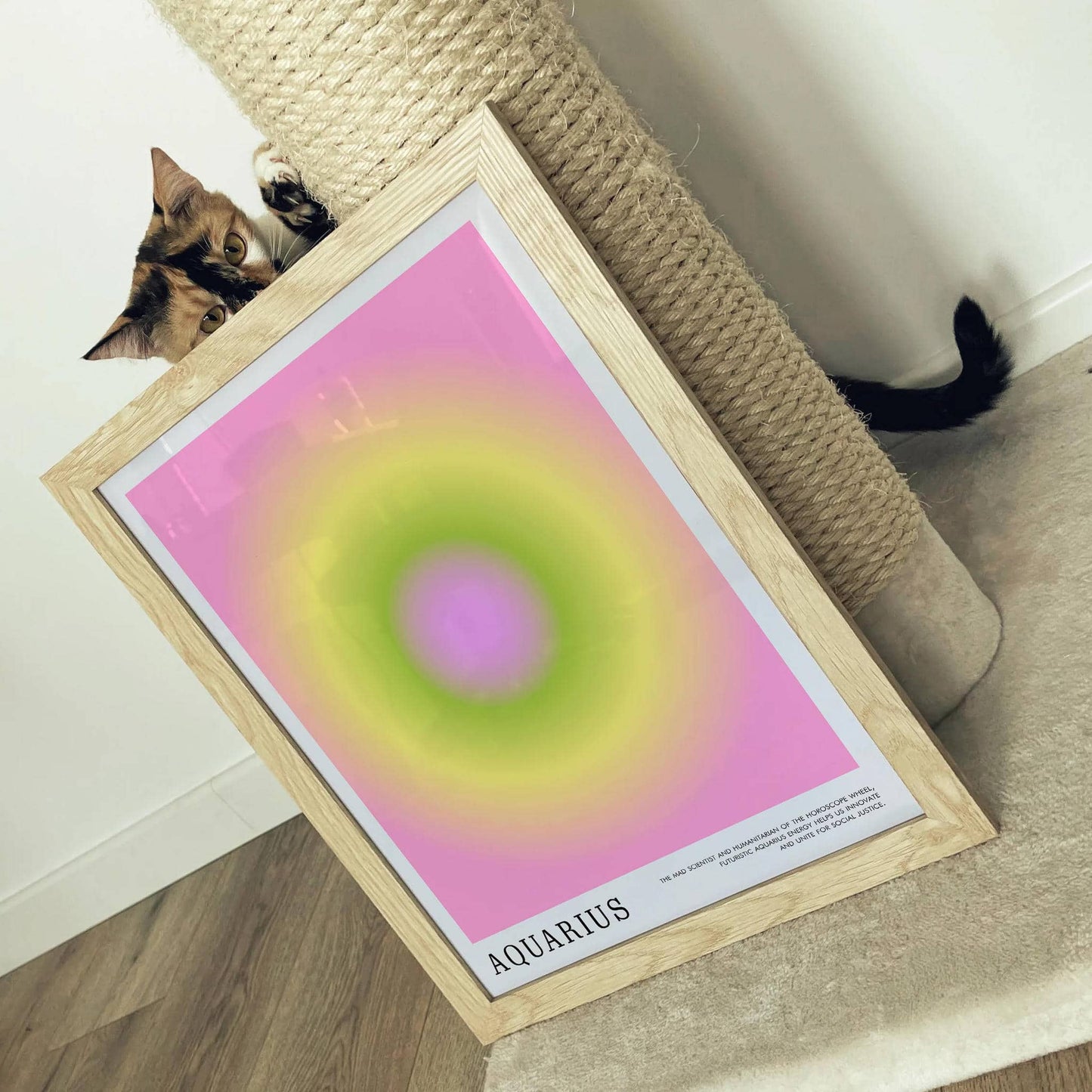 Aquarius Zodiac Sign - Colorful Poster - HypeSheriff