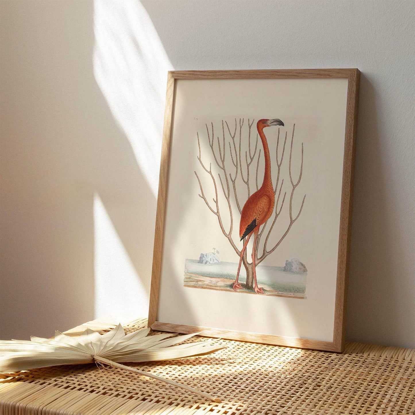 Vintage Flamingo Portrait Poster - HypeSheriff