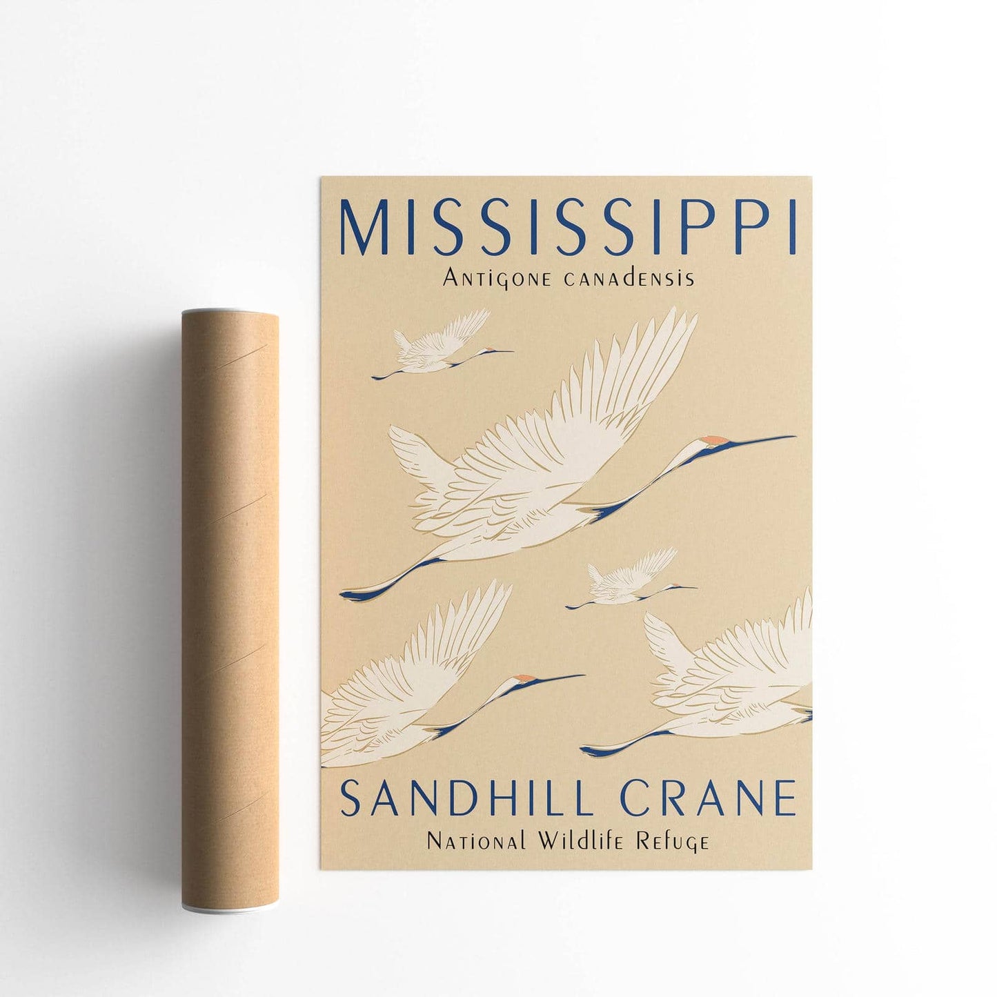Sandhill Crane, Mississippi Poster - HypeSheriff