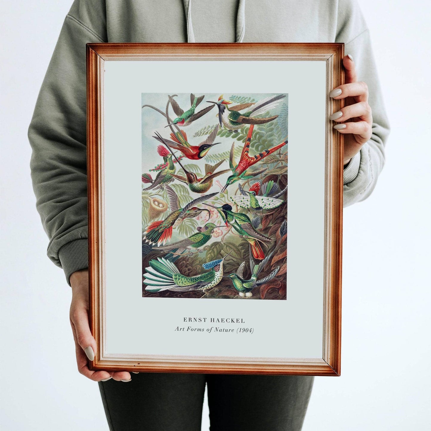 E. Haeckel, Art Forms of Nature No.3 Poster - HypeSheriff