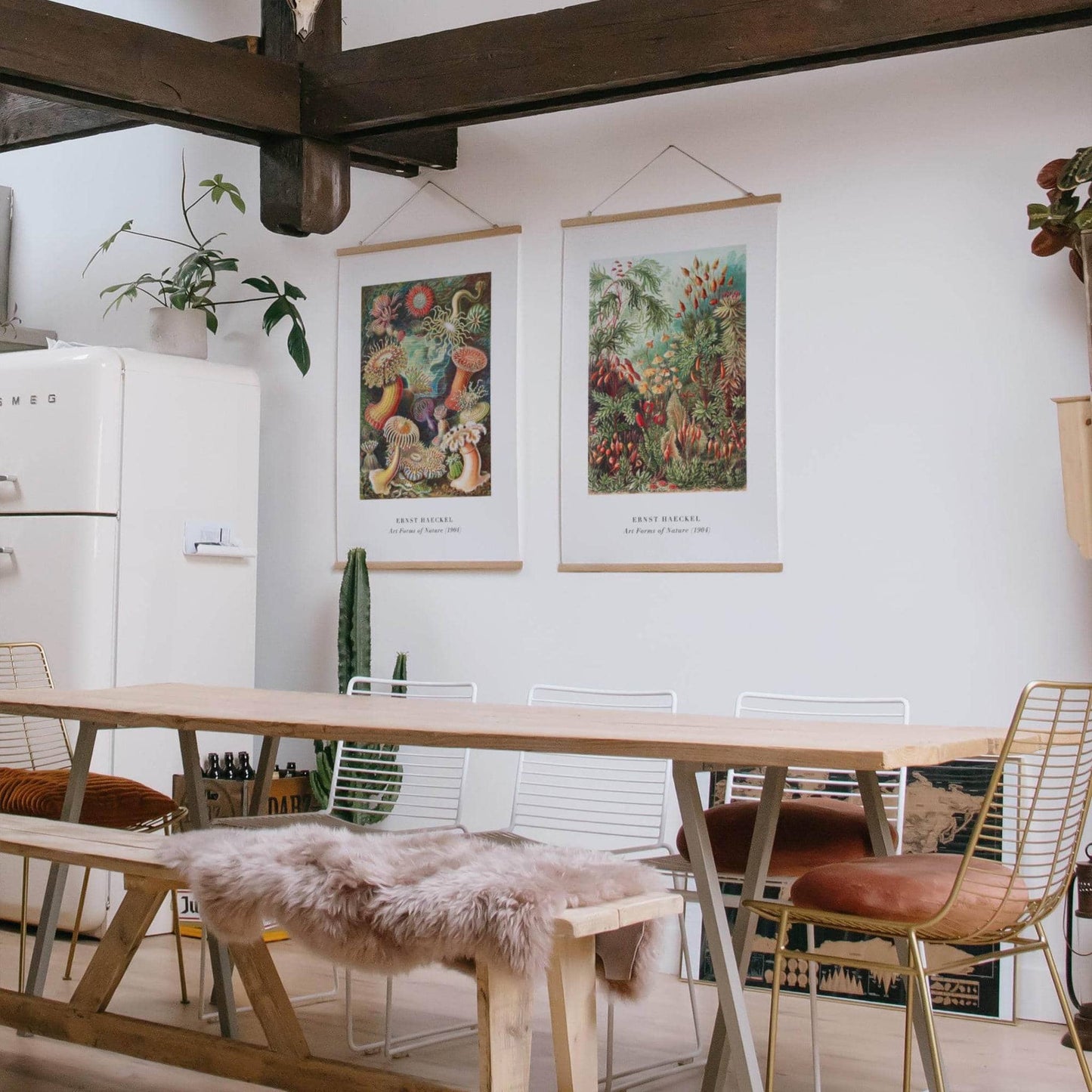 E. Haeckel, Art Forms of Nature No.1 Poster - HypeSheriff