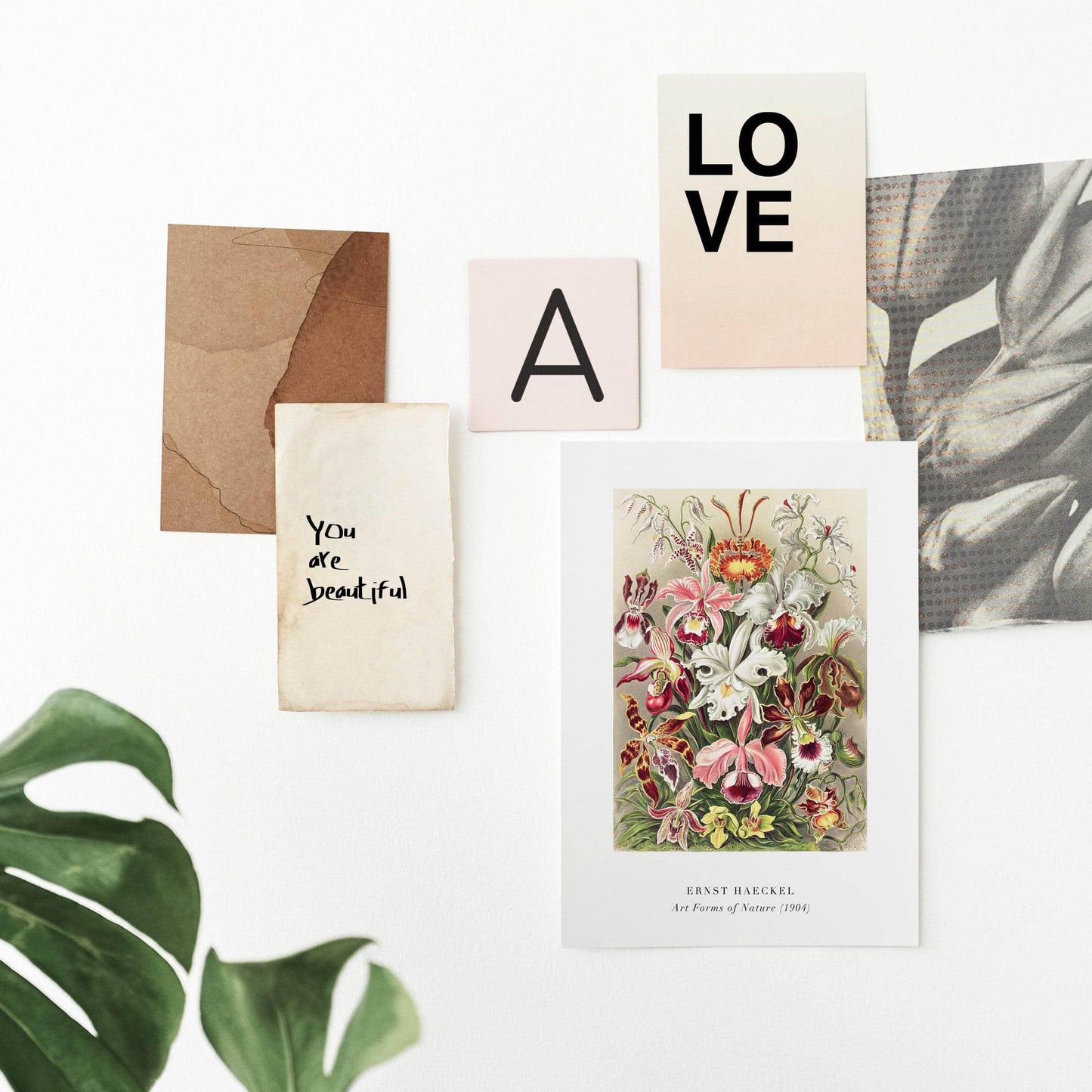 E. Haeckel, Art Forms of Nature No.4 Poster - HypeSheriff