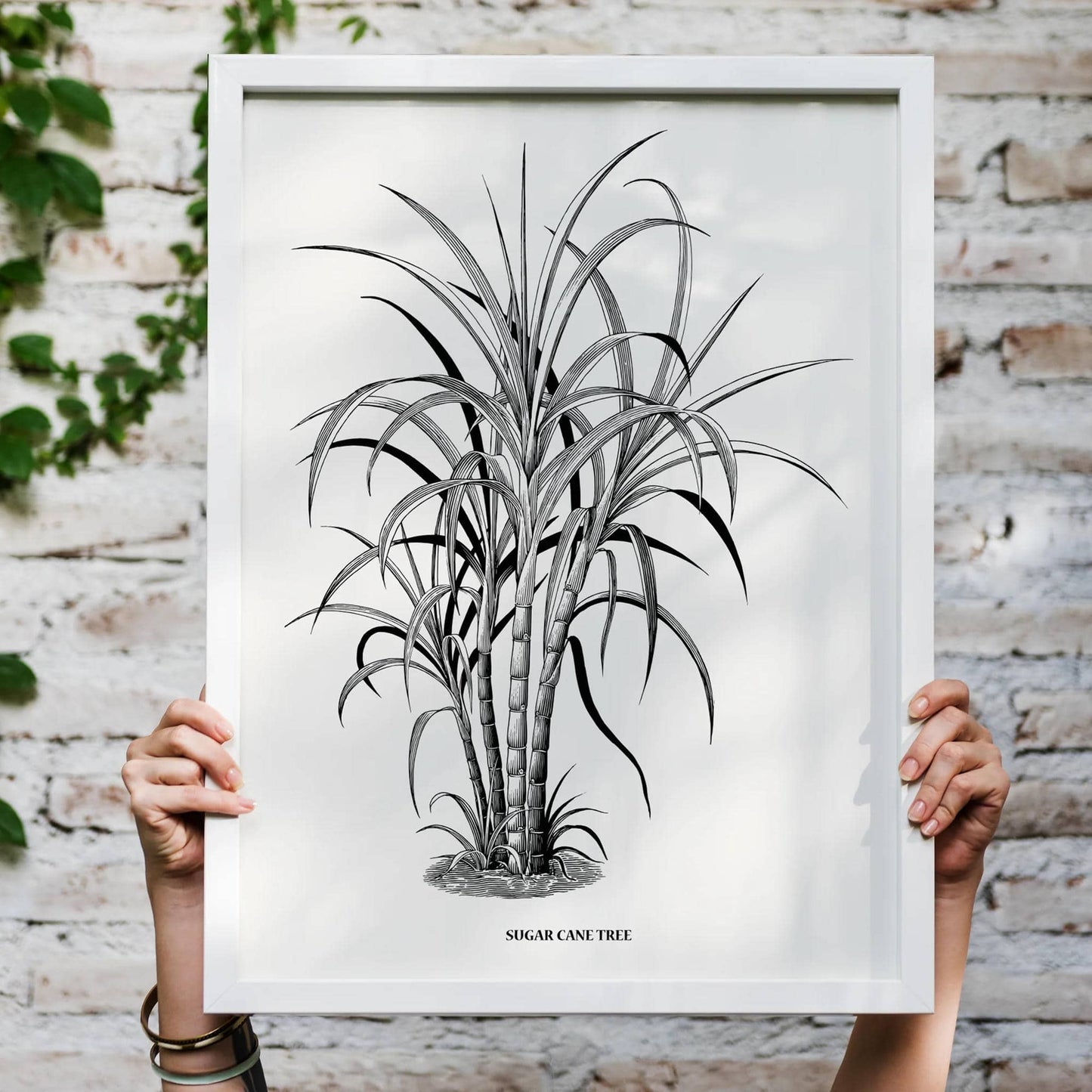 Sugar Cane Tree Retro Art Print - HypeSheriff