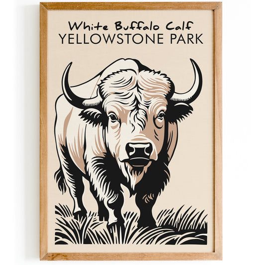 White Buffalo Calf Yellowstone Park 2024 Art Print