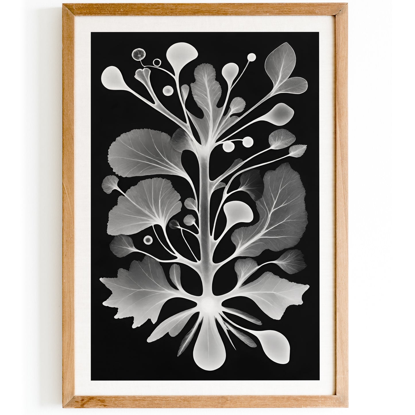 Vintage Botanical Shapes Ernst Haeckel Wall Art