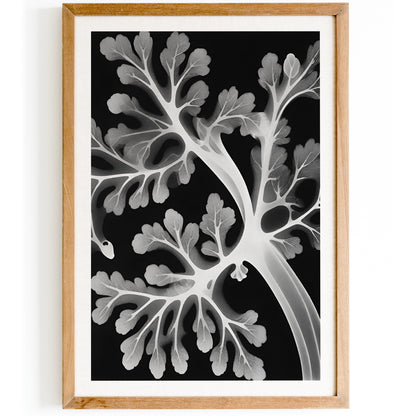 Kunstformen der Natur Black and White Poster