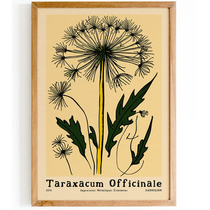 Dancelion - Retro Botanical Art Prints