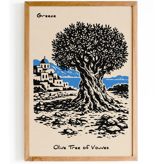 Olive Tree of Vouves Greece Poster