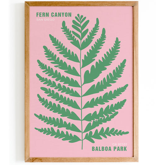 Fern Canyon, San Diego Pink Poster