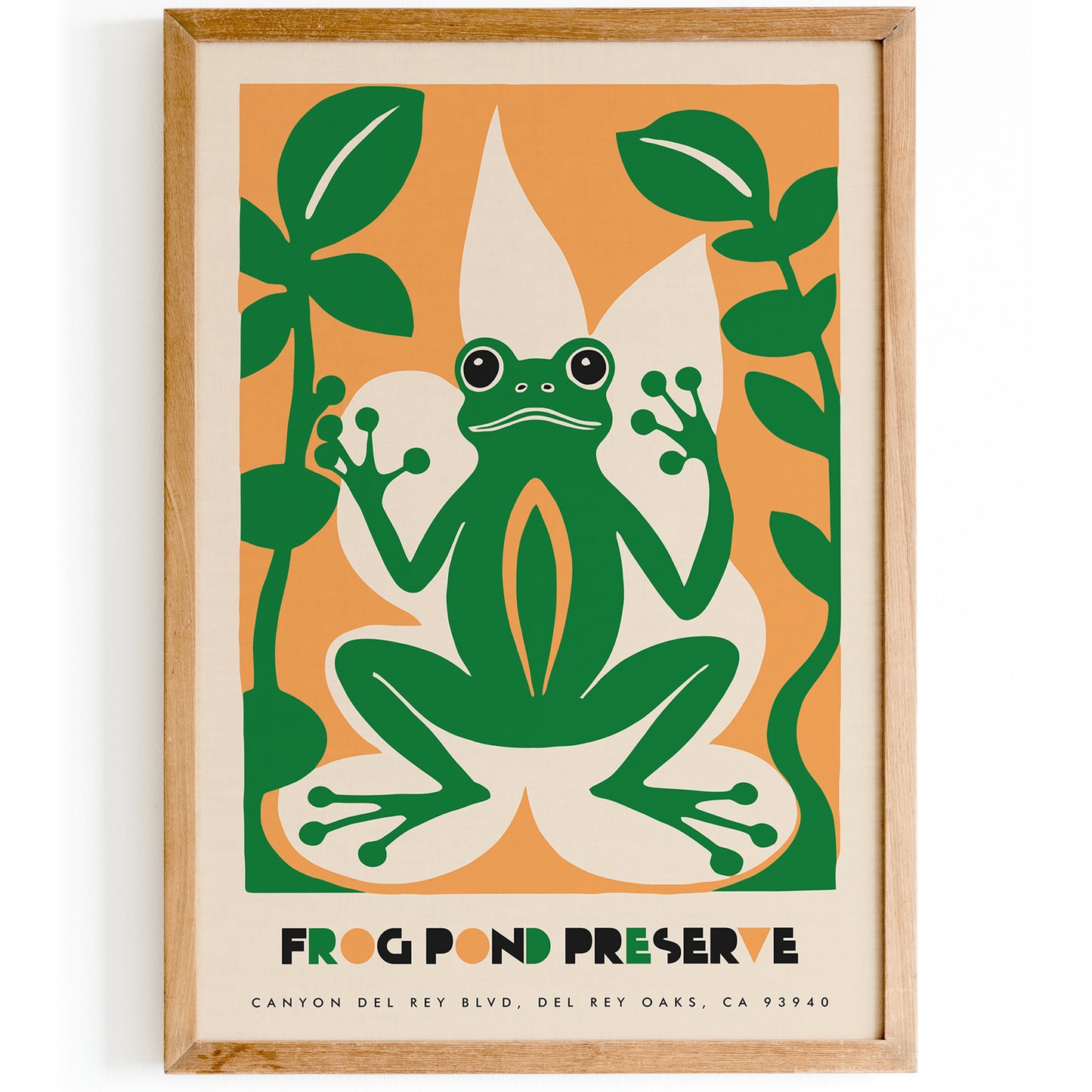 Colorful Frog Travel Wall Art - Del Rey Oaks