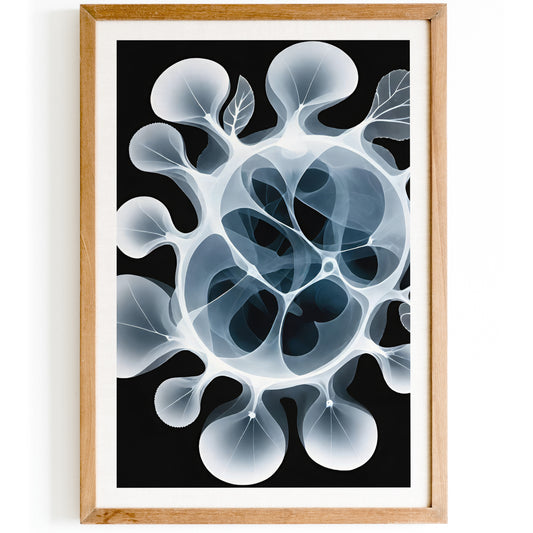 Abstract Organic Ernst Haeckel Art Print