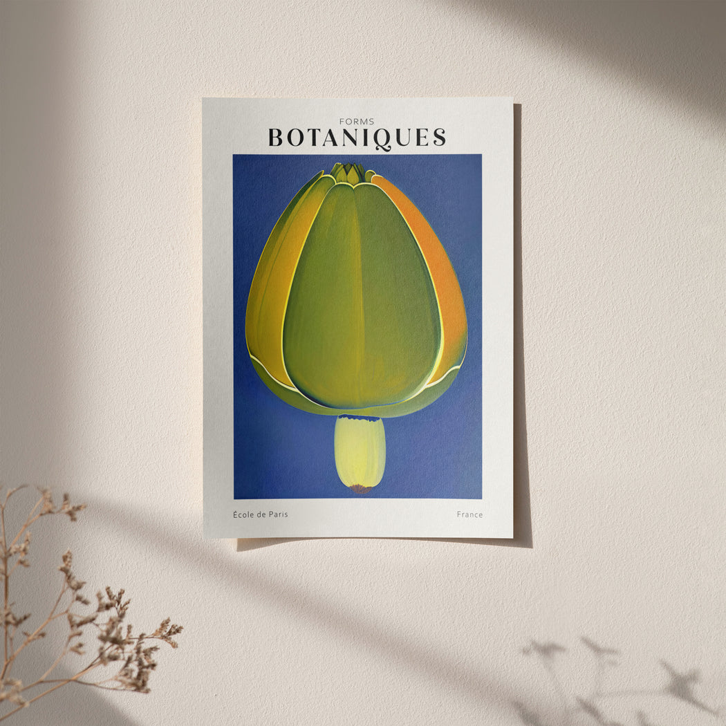 Forms Botaniques Poster