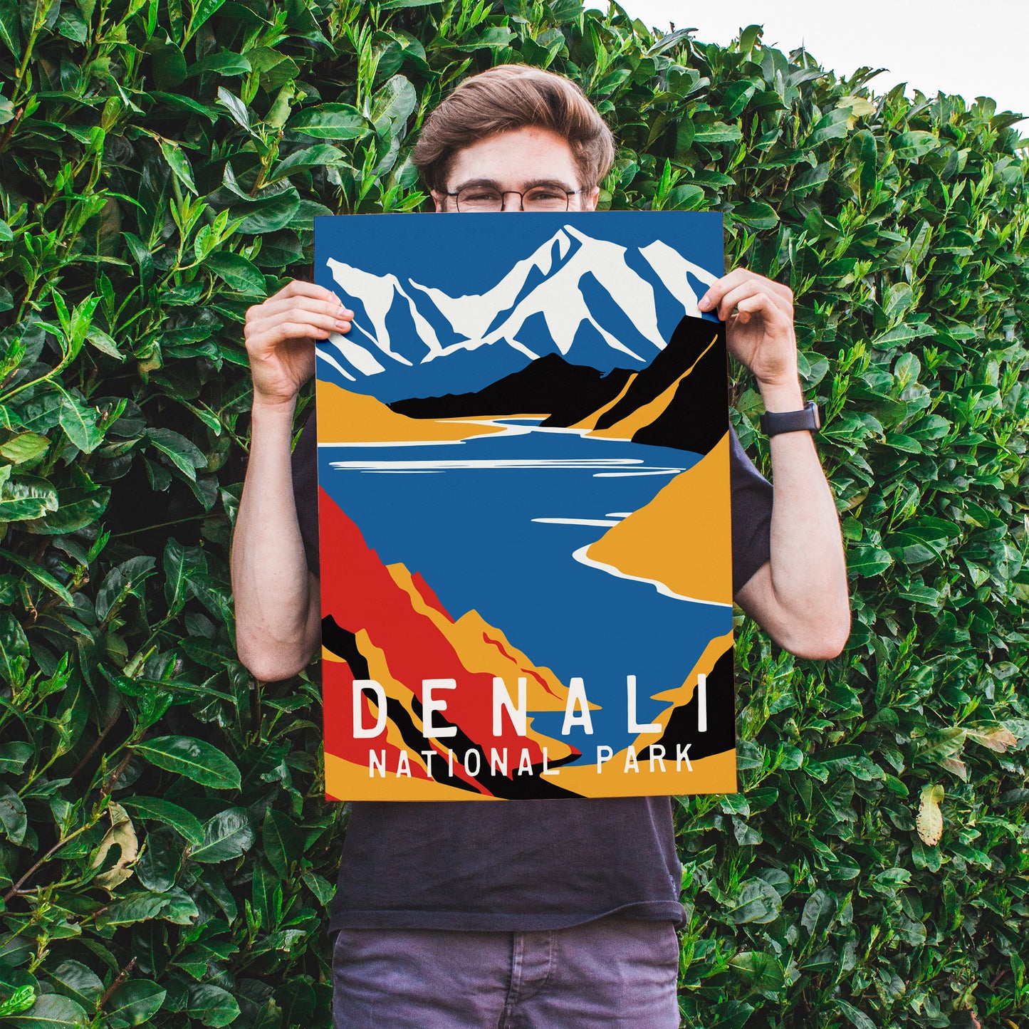 Denali National Park Poster