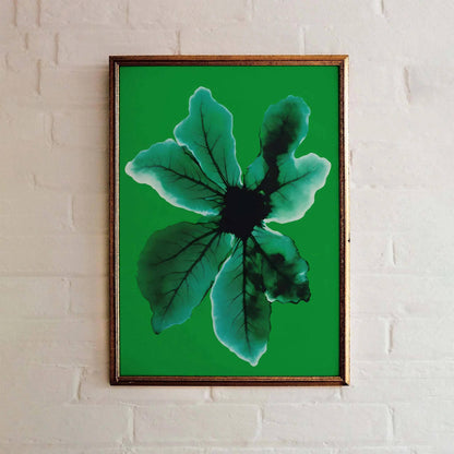 Organic Glow Wall Art Print