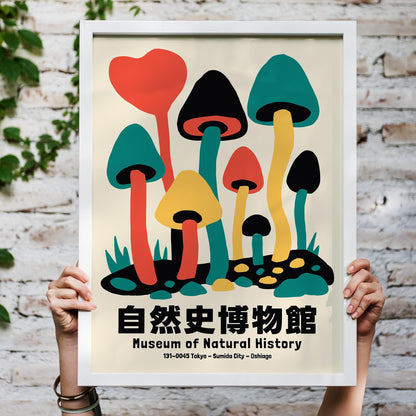 Mushroom Museum Poster Print