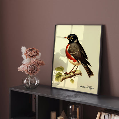 American Robin Vintage Bird Artwork Poster