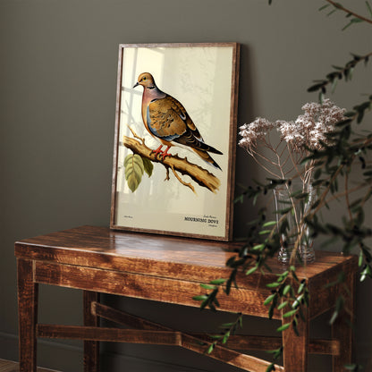 Mourning Dove Bird Poster