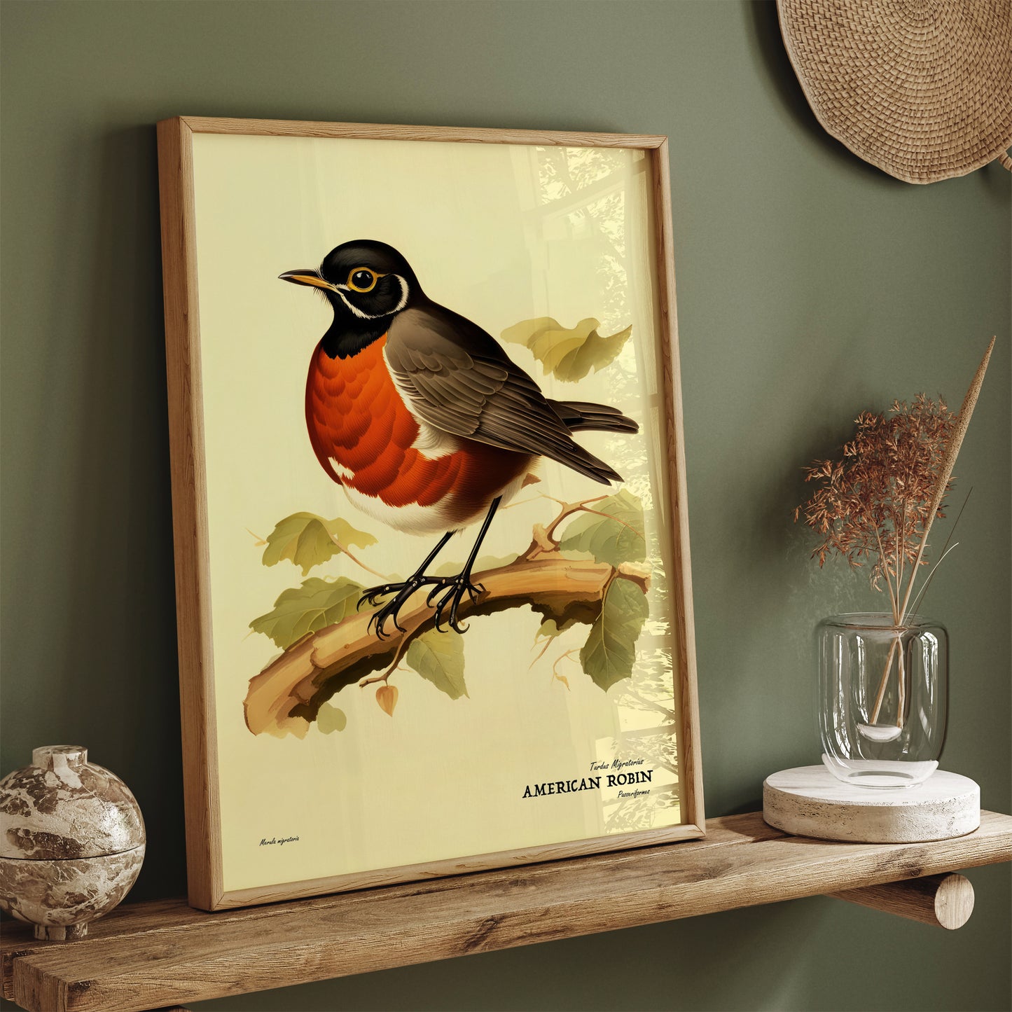 American Robin Vintage Bird Poster