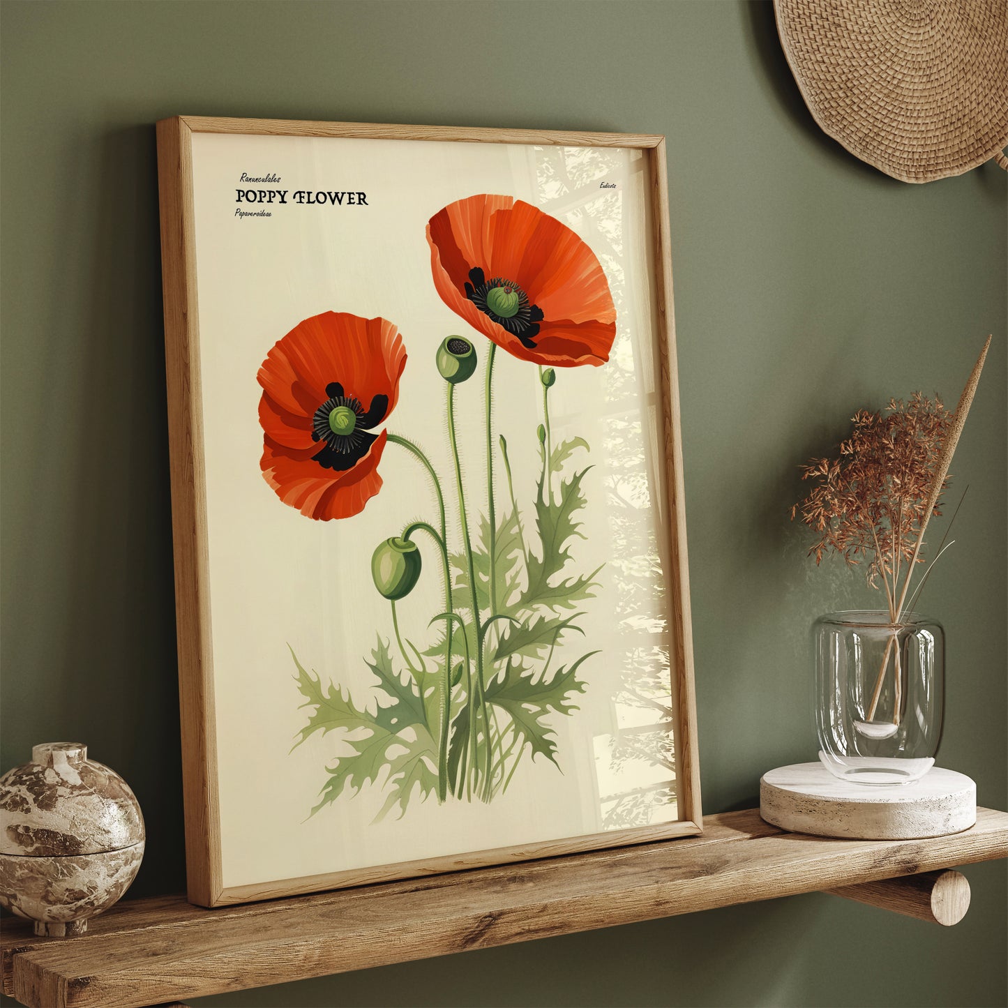 Poppy Flower Illustrated Floral Poster