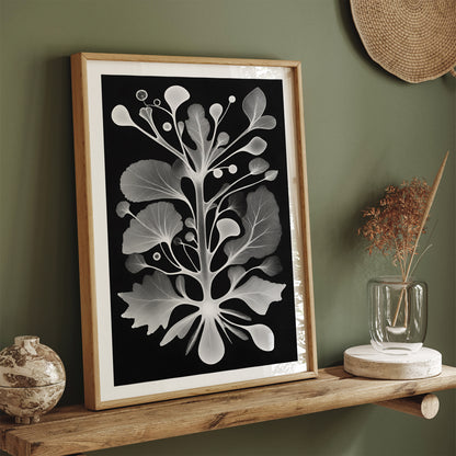 Vintage Botanical Shapes Ernst Haeckel Wall Art