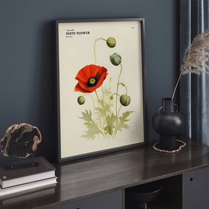 Poppy Flower Vintage Art Print