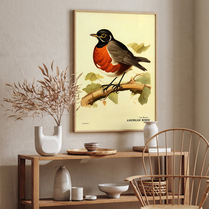 American Robin Vintage Bird Poster