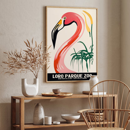 Loro Parque Zoo - Flamingo Wall Art