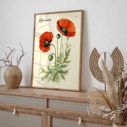 Poppy Flower Illustrated Floral Poster