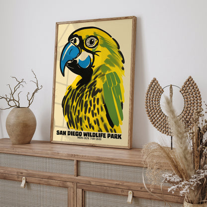 San Diego Wildlife Park Parrot Poster