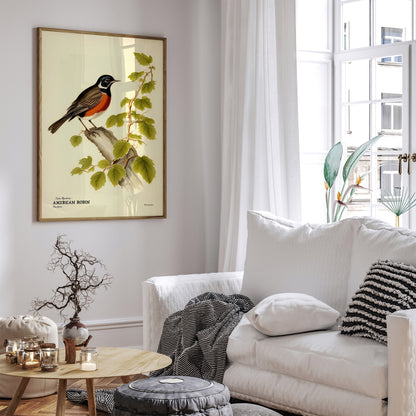 American Robin Vintage Wall Poster