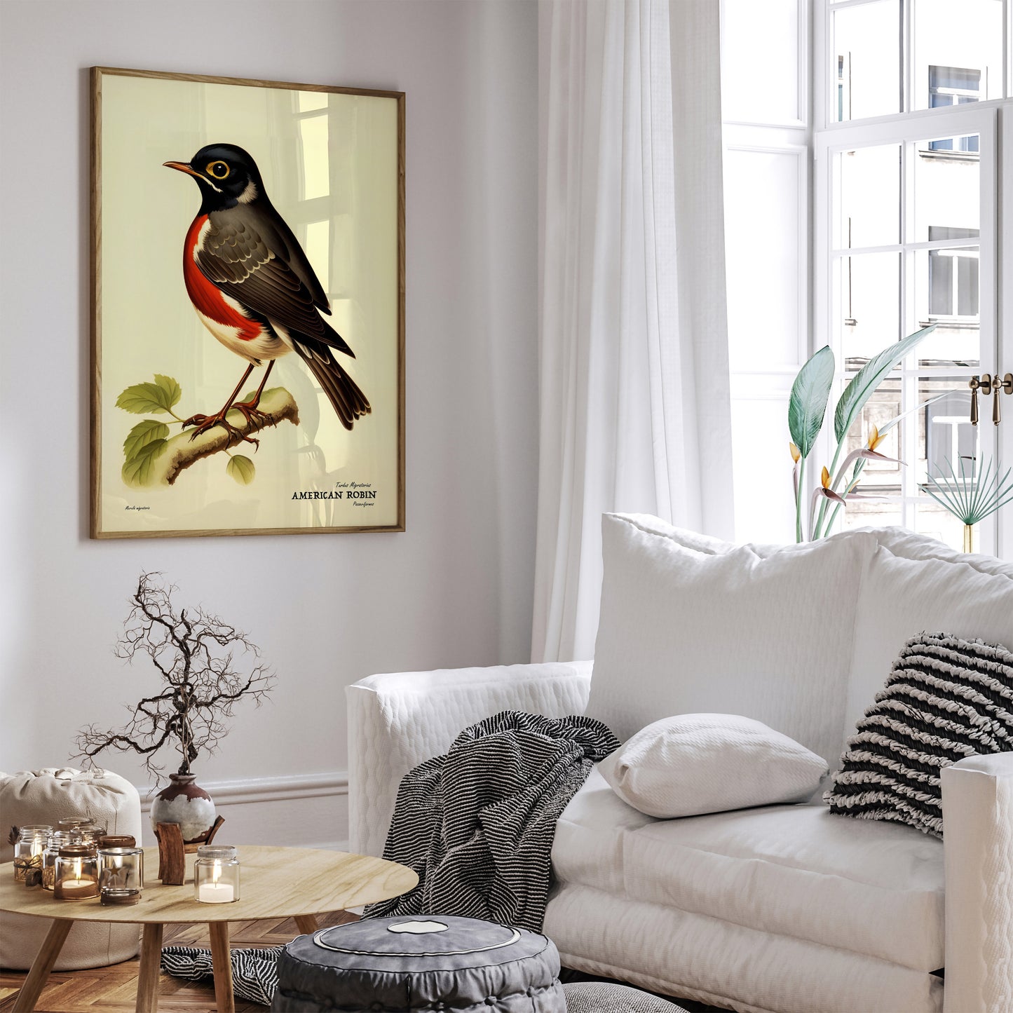 American Robin Vintage Bird Artwork Poster