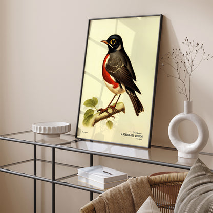 American Robin Vintage Bird Artwork Poster