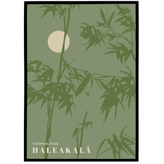 Haleakalā, National Park Poster