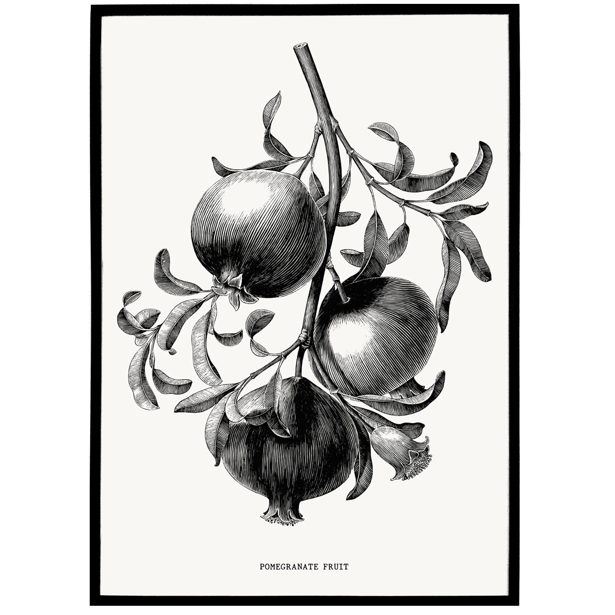 Pomegranate Art Print