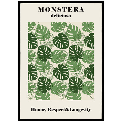 Monstera Illustration Print