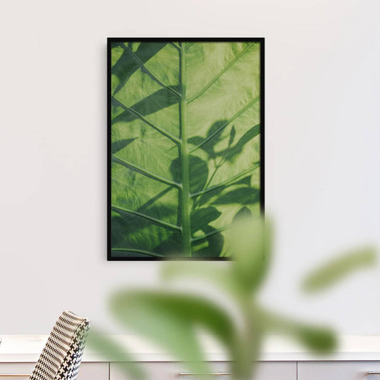 Green Colocasia Esculenta Leaf Photo Poster - HypeSheriff