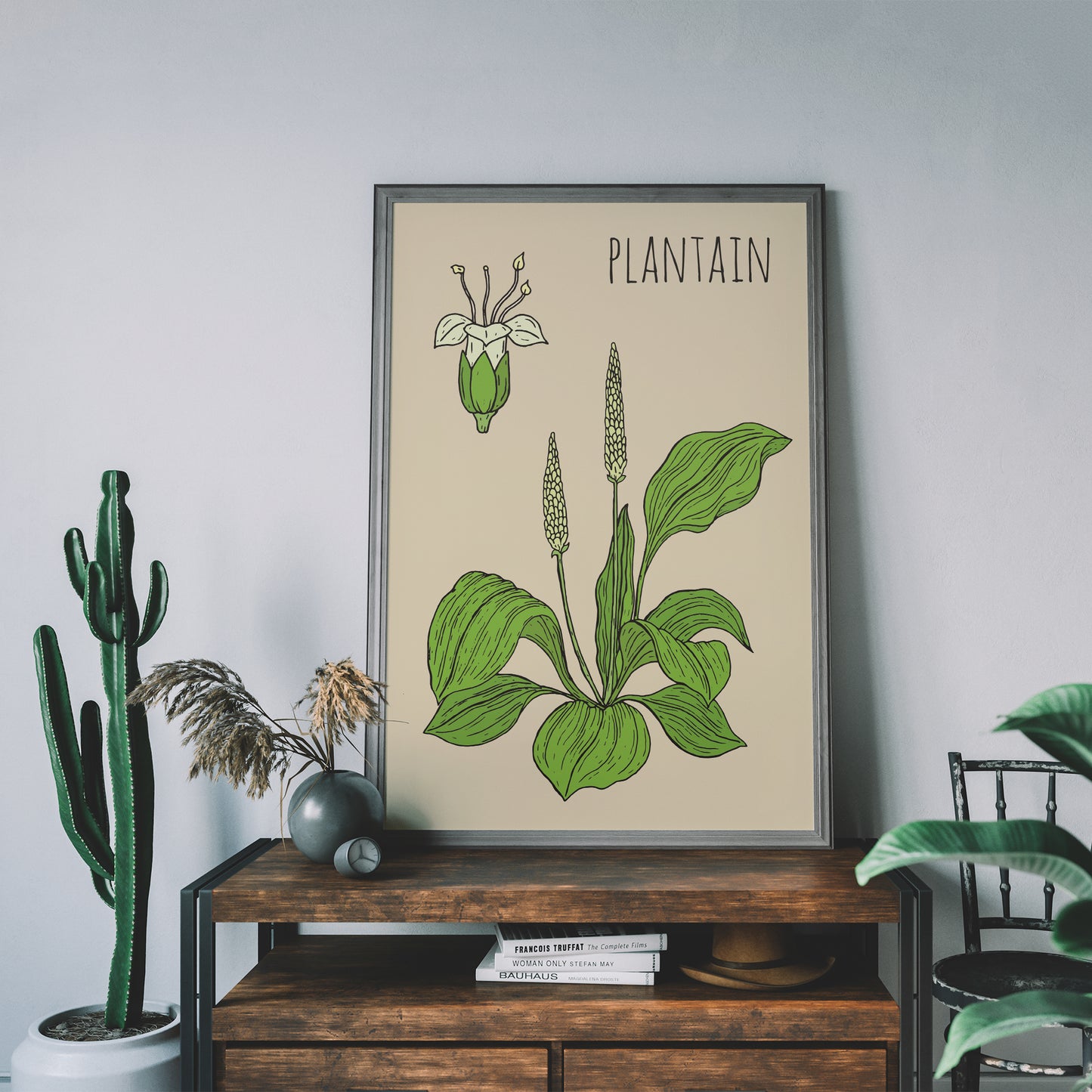 Plantain Botanical Poster