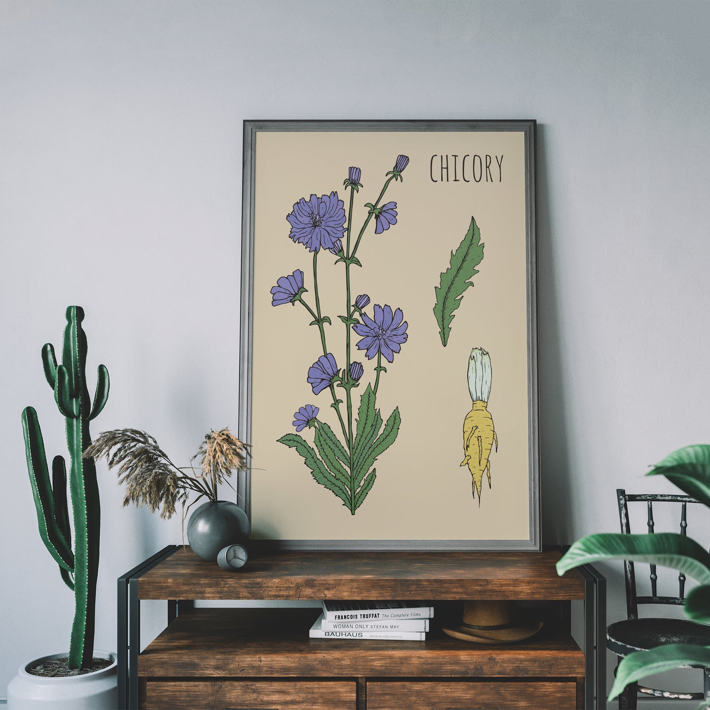 Chicory Botanical Poster