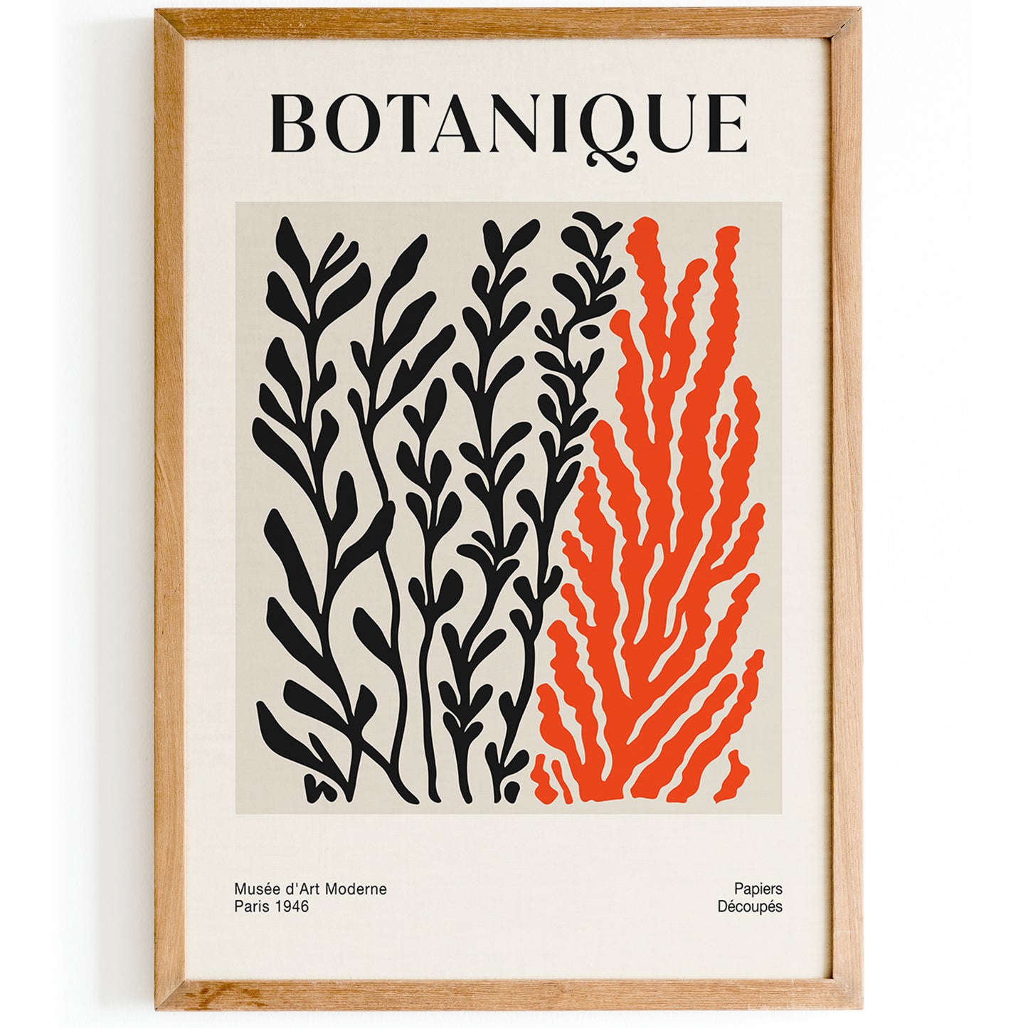 Botanical Corals Poster