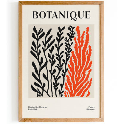 Botanical Corals Poster