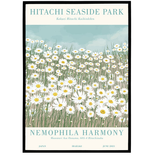 Hitachi Seaside Park, Japan Poster