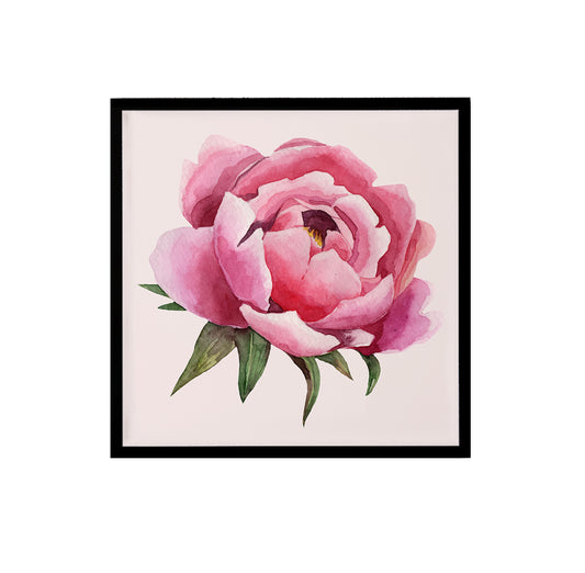 Peony Flower Square Print